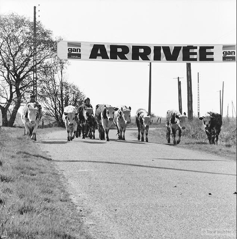 El genio de la fotografía René Maltet El genio de la fotografía René Maltet