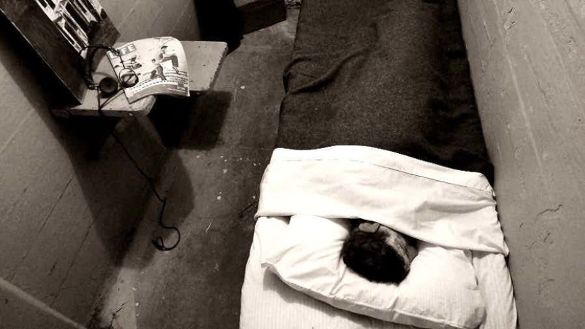 El lugar donde Al Capone fue destrozado: leyendas y horrores de Alcatraz