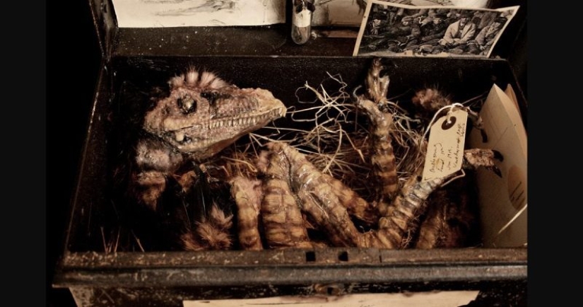 El misterio de la colección de pesadilla de Thomas Merrilyn, un viajero en el tiempo El misterio de la colección de pesadilla de Thomas Merrilyn, un viajero en el tiempo