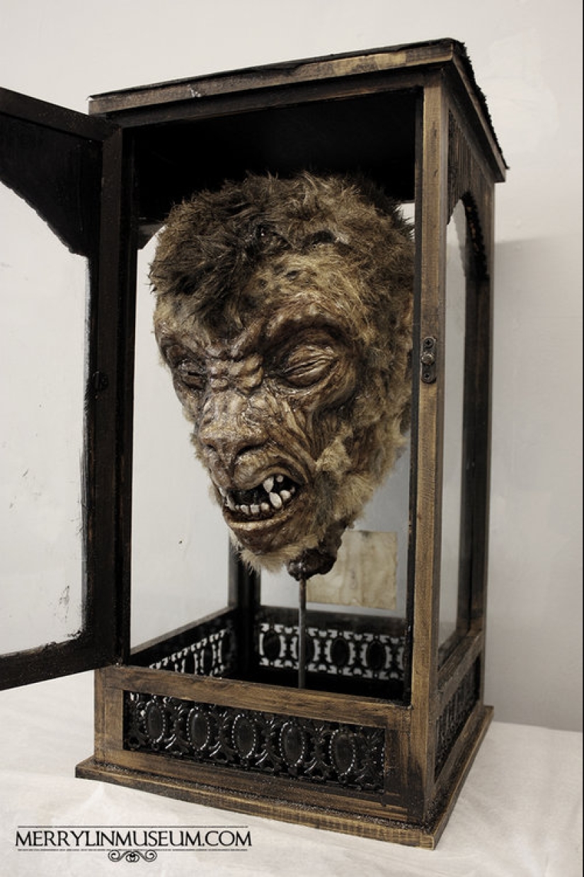 El misterio de la colección de pesadilla de Thomas Merrilyn, un viajero en el tiempo El misterio de la colección de pesadilla de Thomas Merrilyn, un viajero en el tiempo