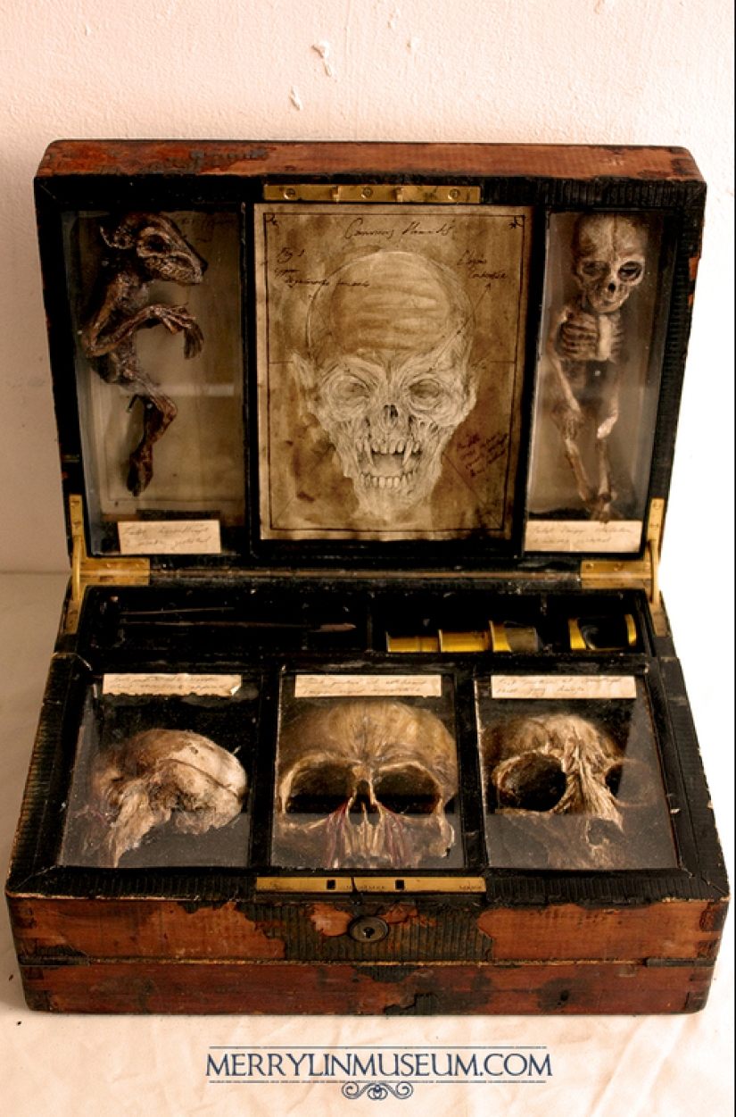 El misterio de la colección de pesadilla de Thomas Merrilyn, un viajero en el tiempo El misterio de la colección de pesadilla de Thomas Merrilyn, un viajero en el tiempo