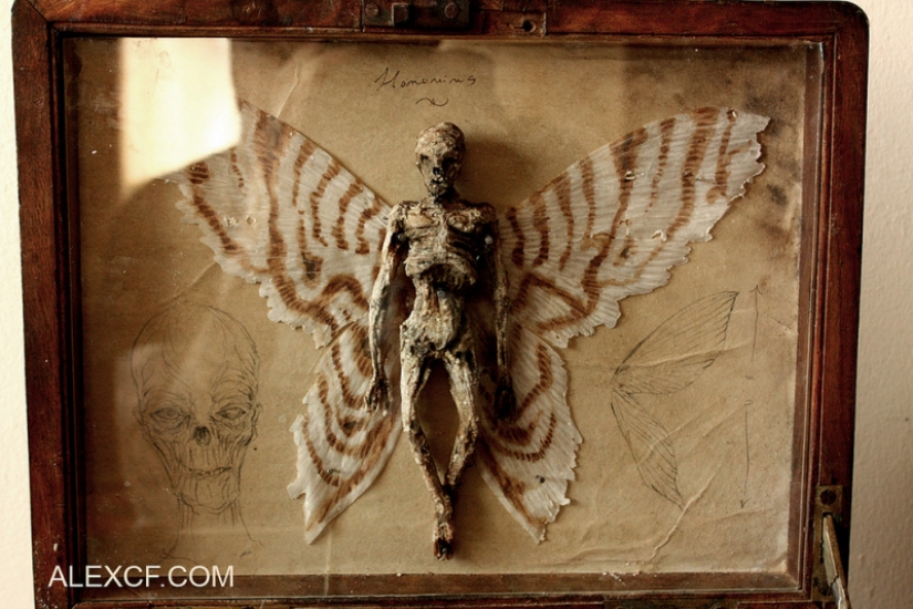 El misterio de la colección de pesadilla de Thomas Merrilyn, un viajero en el tiempo El misterio de la colección de pesadilla de Thomas Merrilyn, un viajero en el tiempo