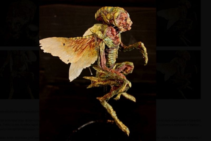 El misterio de la colección de pesadilla de Thomas Merrilyn, un viajero en el tiempo El misterio de la colección de pesadilla de Thomas Merrilyn, un viajero en el tiempo