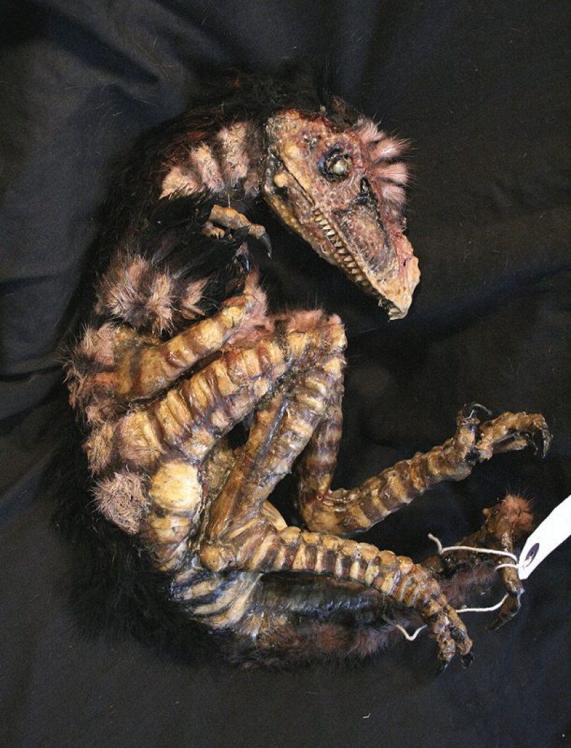 El misterio de la colección de pesadilla de Thomas Merrilyn, un viajero en el tiempo El misterio de la colección de pesadilla de Thomas Merrilyn, un viajero en el tiempo