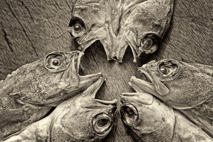 El mundo que desaparece de los gitanos del Mar El mundo que desaparece de los gitanos del Mar