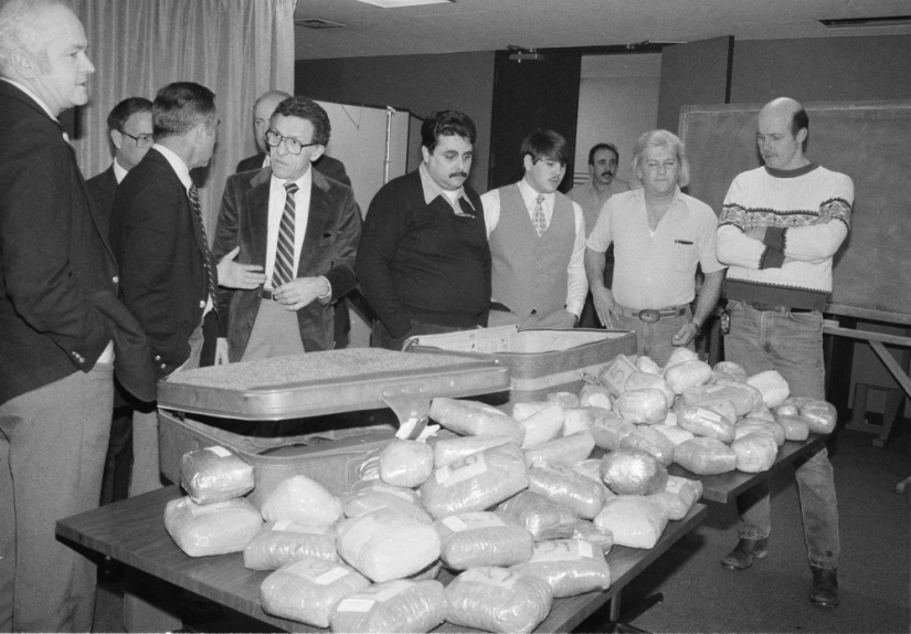 El oso de la cocaína o la historia de cómo un policía estadounidense se convirtió en un famoso narcotraficante El oso de la cocaína o la historia de cómo un policía estadounidense se convirtió en un famoso narcotraficante