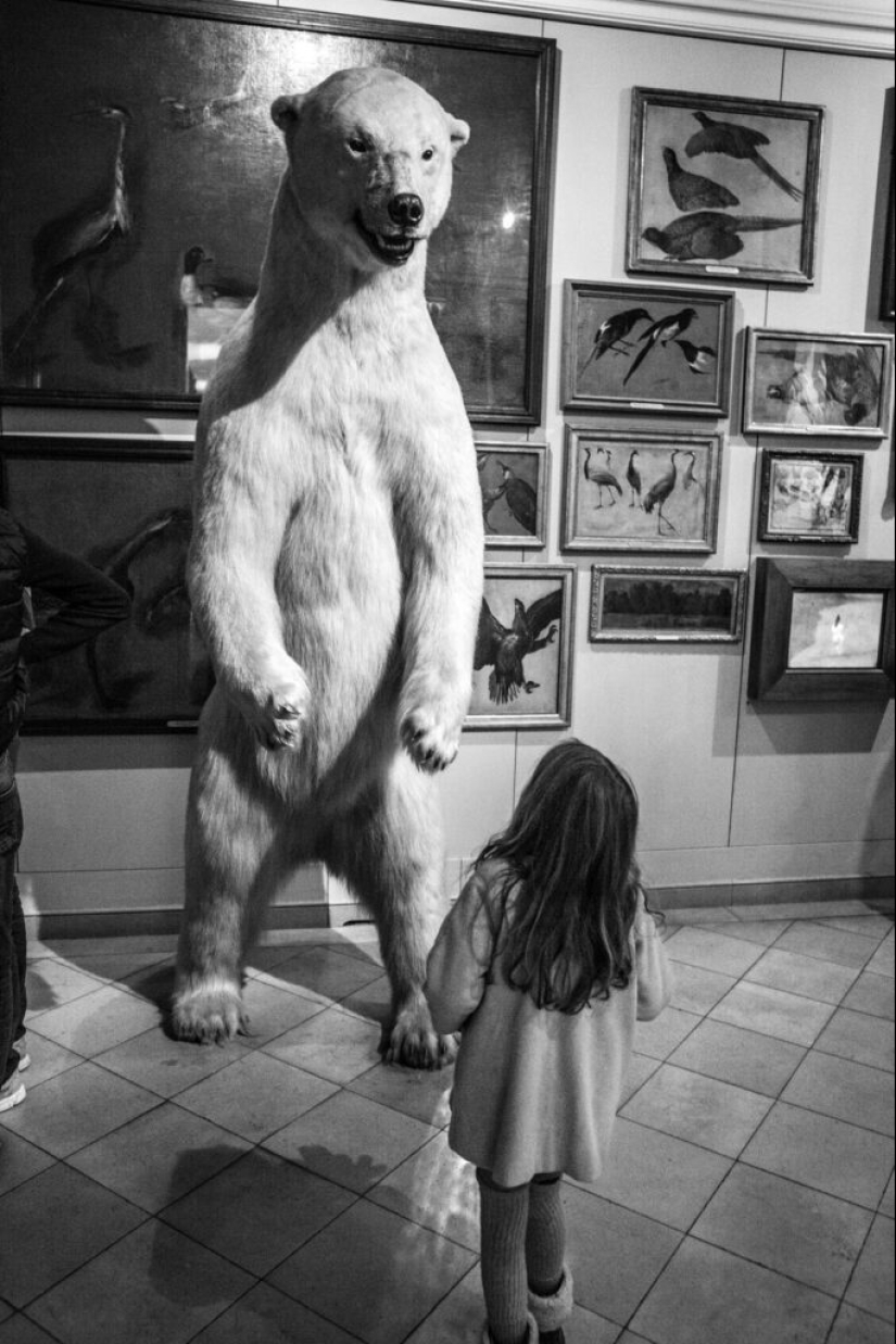 El otro lado de la belleza Gérard Ufères: detrás de escena de teatros, obras maestras de museos y sus conocedores El otro lado de la belleza Gérard Ufères: detrás de escena de teatros, obras maestras de museos y sus conocedores