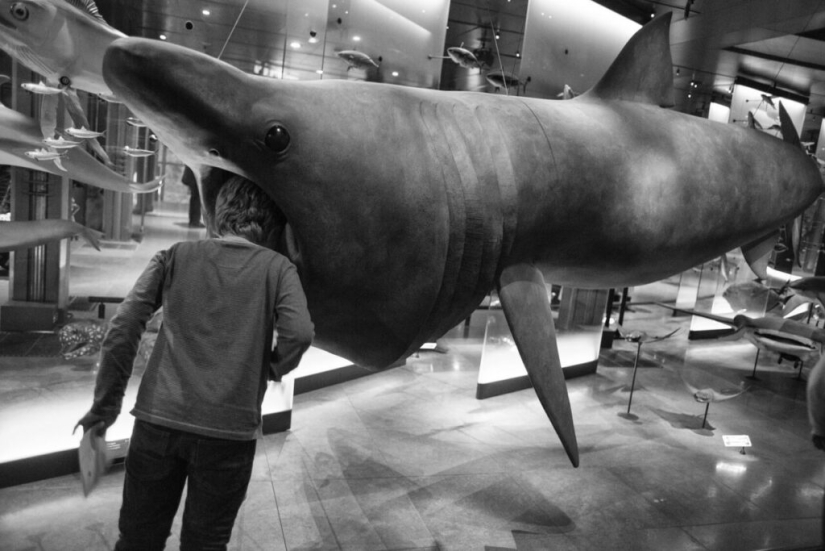 El otro lado de la belleza Gérard Ufères: detrás de escena de teatros, obras maestras de museos y sus conocedores El otro lado de la belleza Gérard Ufères: detrás de escena de teatros, obras maestras de museos y sus conocedores