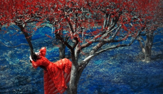 El pintor con cámara Eric Madigan Heck y sus mágicos juegos con el color