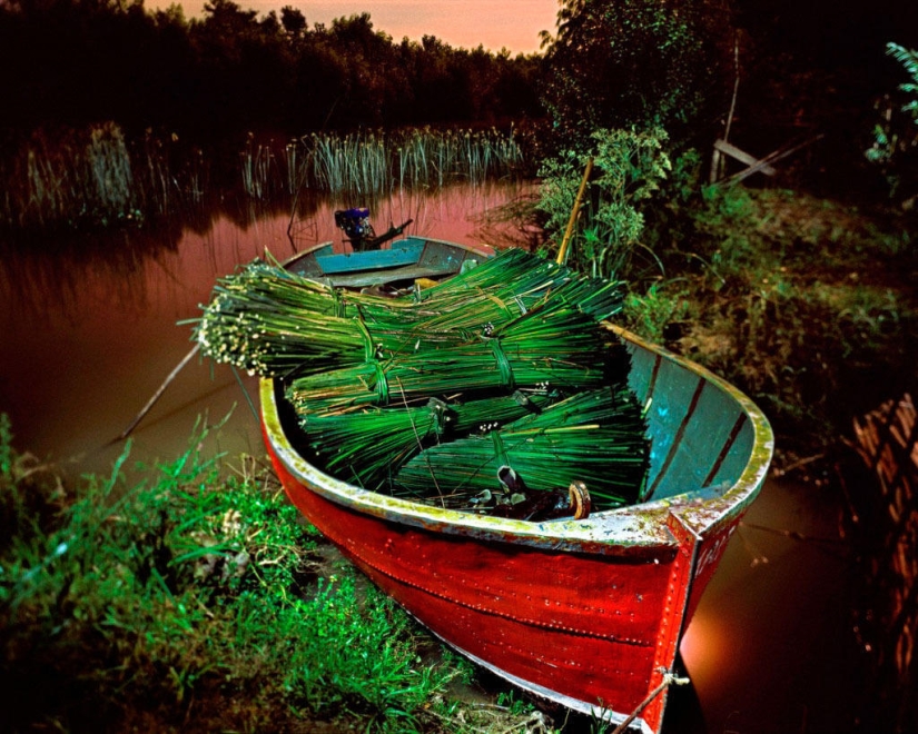 El proyecto de la Luna Creciente: fotos increíbles tomadas por la luz de la luna El proyecto de la Luna Creciente: fotos increíbles tomadas por la luz de la luna