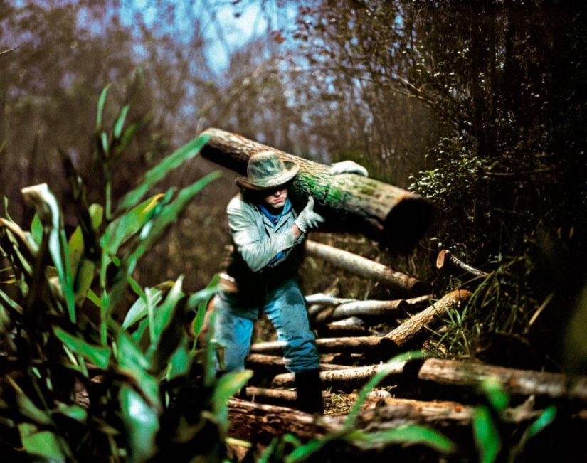 El proyecto de la Luna Creciente: fotos increíbles tomadas por la luz de la luna El proyecto de la Luna Creciente: fotos increíbles tomadas por la luz de la luna