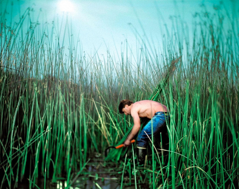 El proyecto de la Luna Creciente: fotos increíbles tomadas por la luz de la luna El proyecto de la Luna Creciente: fotos increíbles tomadas por la luz de la luna