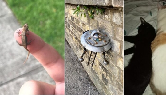 El tamaño importa: 22 pruebas de la ley de la relatividad que Einstein nunca soñó El tamaño importa: 22 pruebas de la ley de la relatividad que Einstein nunca soñó