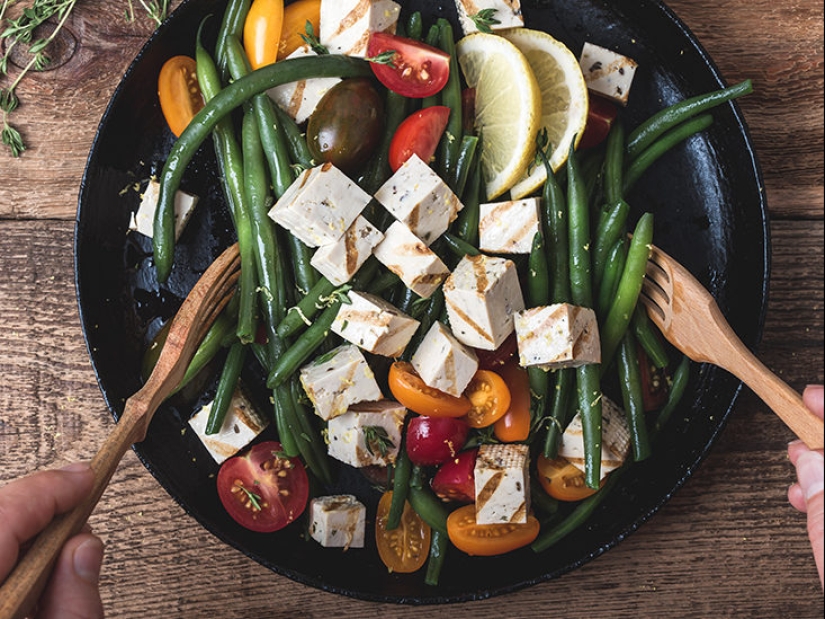 El Tofu, el cual está compuesto por los muertos, pero amaba a todo el mundo El Tofu, el cual está compuesto por los muertos, pero amaba a todo el mundo