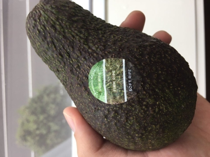 Elegante y práctico: 22 innovadores artilugios de diseño para el hogar y la vida