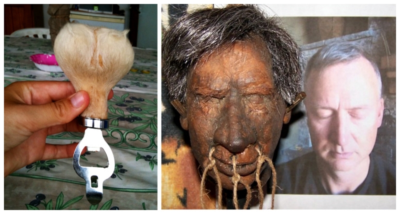 Elephant dung beer and kangaroo scrotum: The 9 strangest souvenirs Elephant dung beer and kangaroo scrotum: The 9 strangest souvenirs