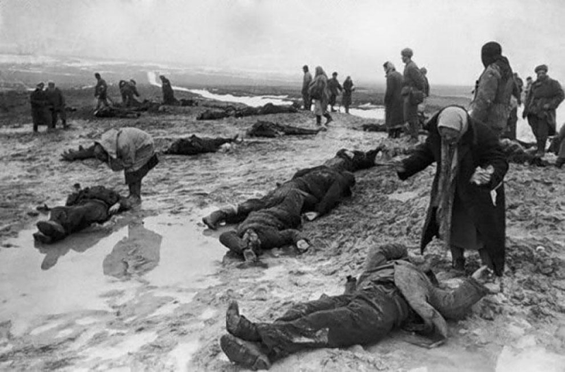 En el Día de la Victoria: 35 fotos famosas de la Gran Guerra Patria En el Día de la Victoria: 35 fotos famosas de la Gran Guerra Patria