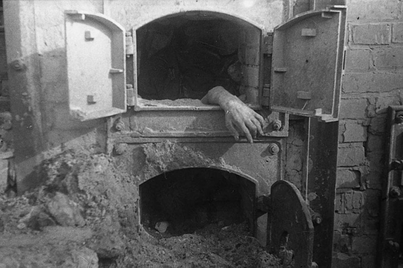 En el Día de la Victoria: 35 fotos famosas de la Gran Guerra Patria En el Día de la Victoria: 35 fotos famosas de la Gran Guerra Patria