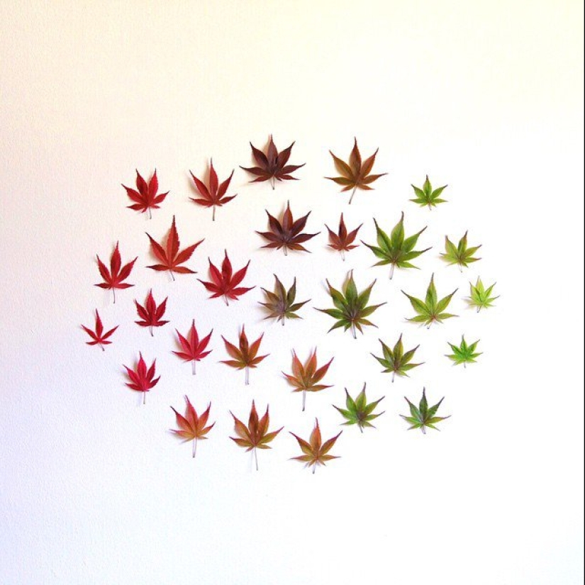 En el orden de las cosas: Serie de fotos de Emily Blinko En el orden de las cosas: Serie de fotos de Emily Blinko