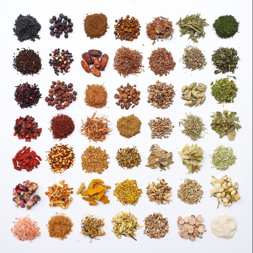 En el orden de las cosas: Serie de fotos de Emily Blinko En el orden de las cosas: Serie de fotos de Emily Blinko