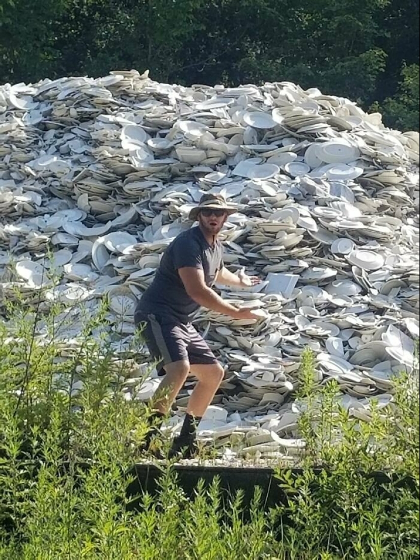 En este hermoso mundo: 22 extraño resultados que le sorprenderán