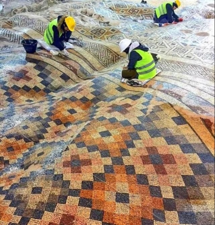 En este hermoso mundo: 22 extraño resultados que le sorprenderán