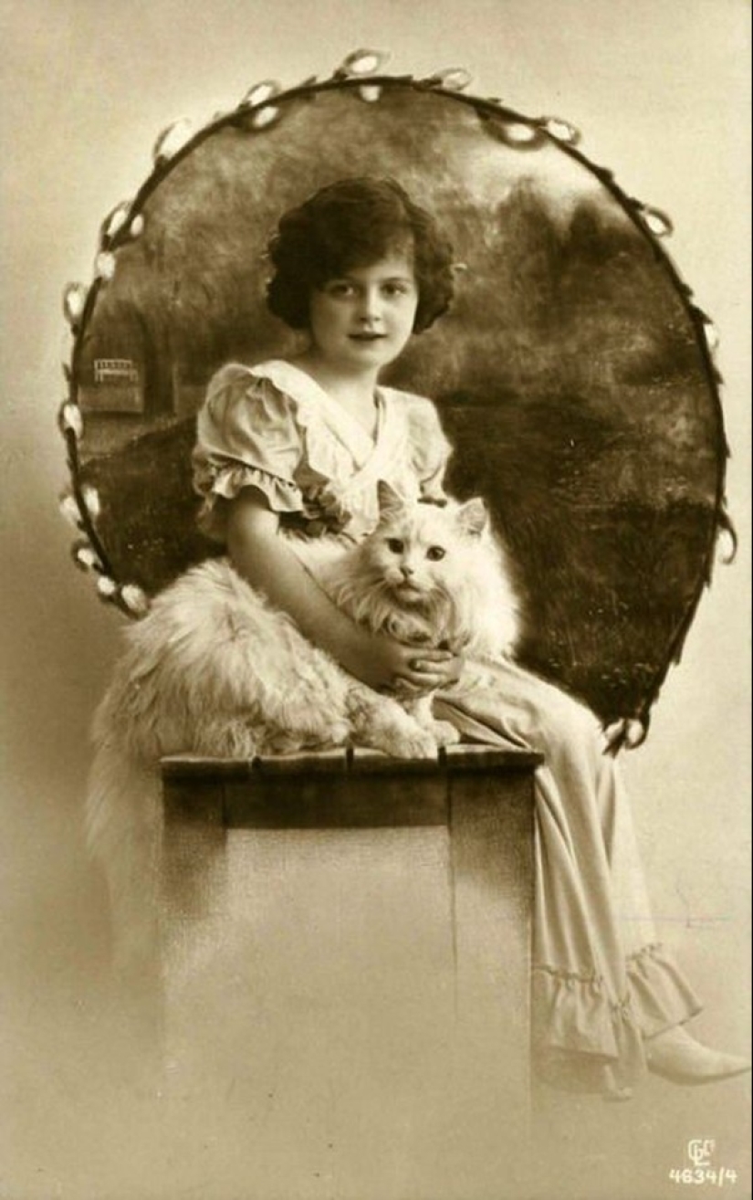 Encantadores gatos vintage que demostrarán que los gatos han gobernado el mundo en todo momento Encantadores gatos vintage que demostrarán que los gatos han gobernado el mundo en todo momento