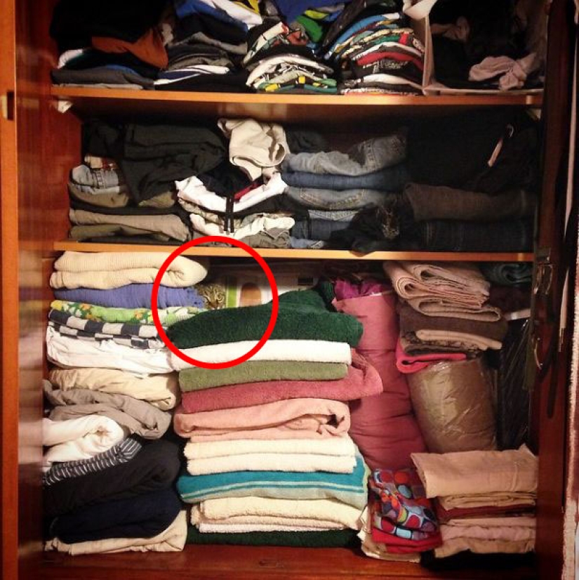 Encontrar el gato: astuto barbas a rayas, que son imposibles de encontrar en la foto Encontrar el gato: astuto barbas a rayas, que son imposibles de encontrar en la foto