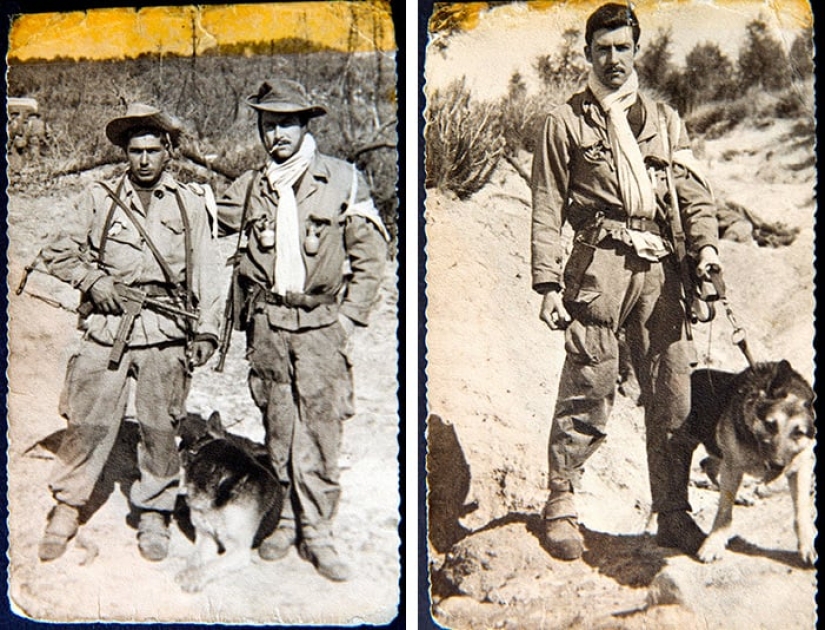 Enemigo del estado № 1: Jacques Mesrine — el ladrón, a quien Francia declaró la guerra Enemigo del estado № 1: Jacques Mesrine — el ladrón, a quien Francia declaró la guerra