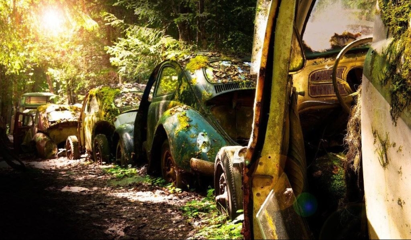 Enorme atasco de tráfico en el bosque belga Enorme atasco de tráfico en el bosque belga