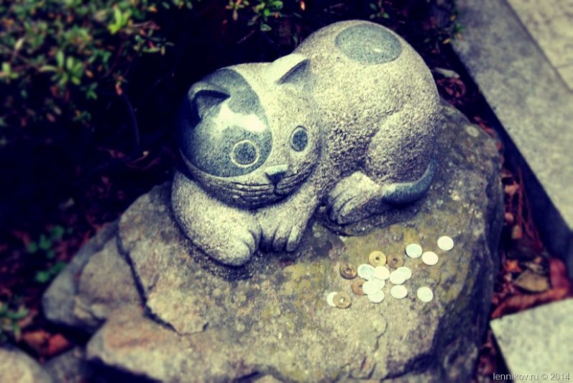 Enterrar Bote con mi abuela. La tradición Japonesa de la sepultura de Mascotas impactante Enterrar Bote con mi abuela. La tradición Japonesa de la sepultura de Mascotas impactante