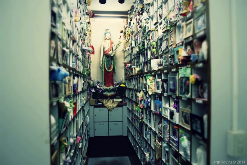 Enterrar Bote con mi abuela. La tradición Japonesa de la sepultura de Mascotas impactante Enterrar Bote con mi abuela. La tradición Japonesa de la sepultura de Mascotas impactante