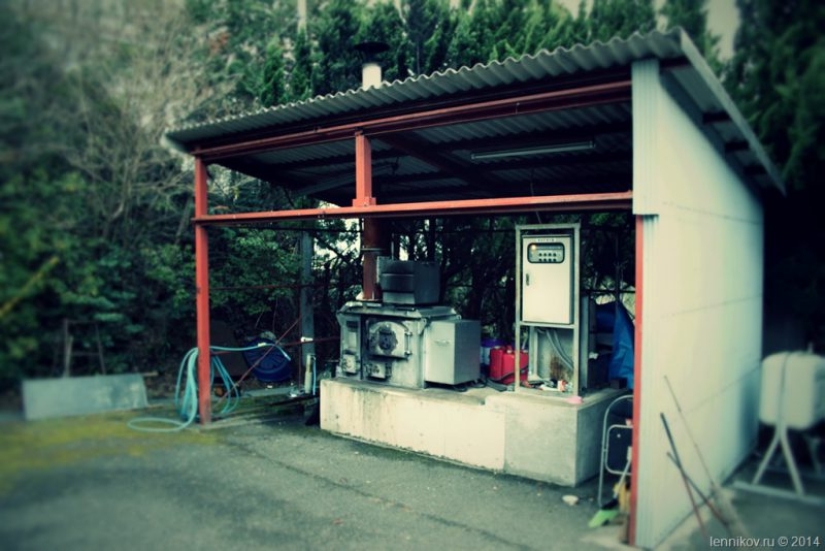 Enterrar Bote con mi abuela. La tradición Japonesa de la sepultura de Mascotas impactante Enterrar Bote con mi abuela. La tradición Japonesa de la sepultura de Mascotas impactante