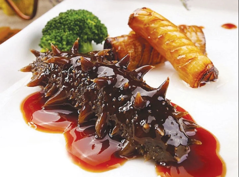 Escupe propios cuerpos y se comporta como un suicida: una vida de diversión como un pepino de mar