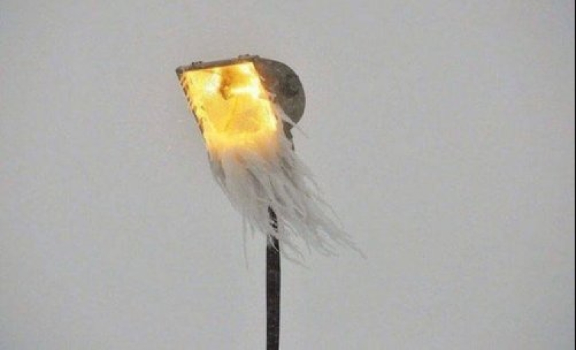 Eso es lo que un verdadero invierno: 30+ fotos que va a ser de frío