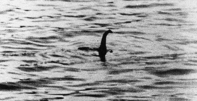 Eso, pero no eso: las atracciones falsas más famosas Eso, pero no eso: las atracciones falsas más famosas