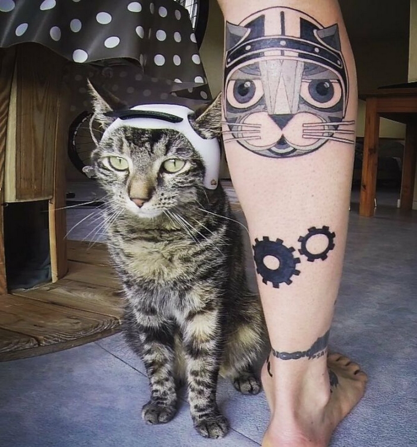 Esquí, surf, paracaidismo: el gato de Instagram vive cien veces más interesante que tú