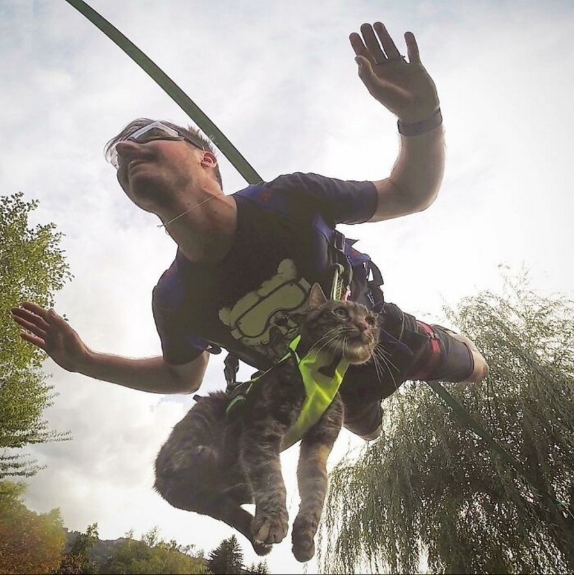 Esquí, surf, paracaidismo: el gato de Instagram vive cien veces más interesante que tú