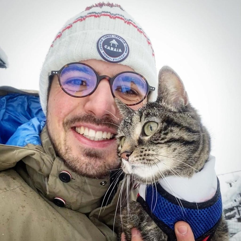 Esquí, surf, paracaidismo: el gato de Instagram vive cien veces más interesante que tú
