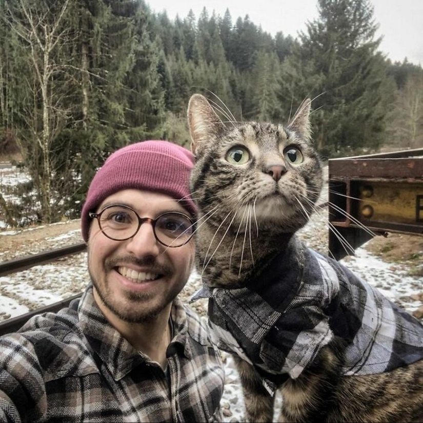 Esquí, surf, paracaidismo: el gato de Instagram vive cien veces más interesante que tú