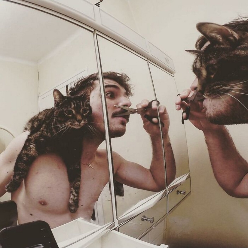 Esquí, surf, paracaidismo: el gato de Instagram vive cien veces más interesante que tú