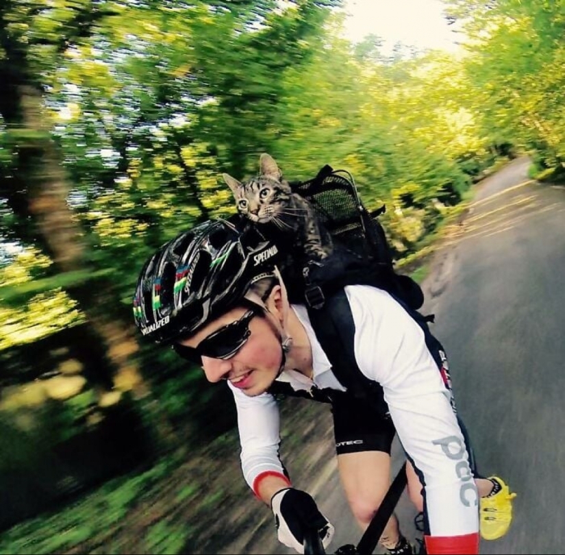 Esquí, surf, paracaidismo: el gato de Instagram vive cien veces más interesante que tú