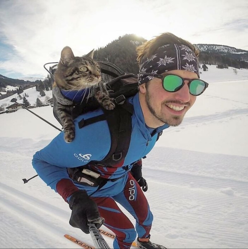 Esquí, surf, paracaidismo: el gato de Instagram vive cien veces más interesante que tú