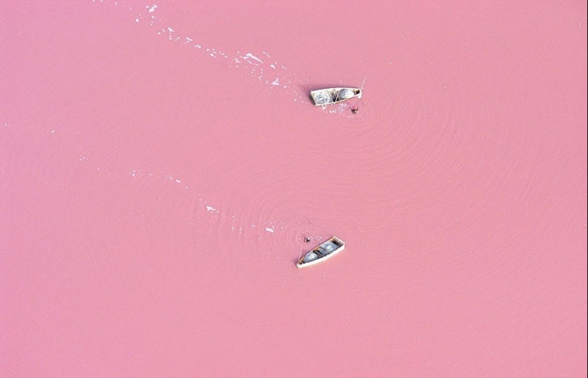 Estas fotos parecen falsas, pero son las más reales! Estas fotos parecen falsas, pero son las más reales!