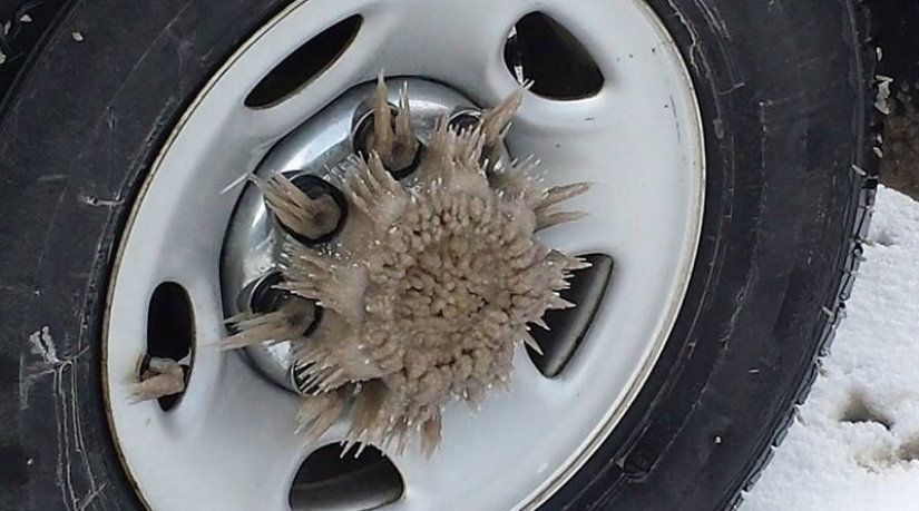 Este increíble mundo! 17 imágenes que te sorprenderán Este increíble mundo! 17 imágenes que te sorprenderán