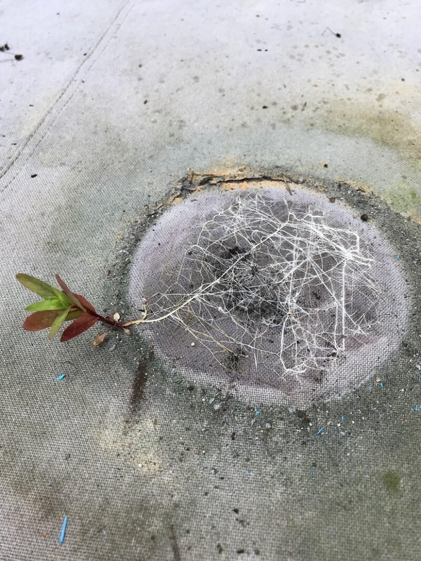 Este increíble mundo! 17 imágenes que te sorprenderán Este increíble mundo! 17 imágenes que te sorprenderán