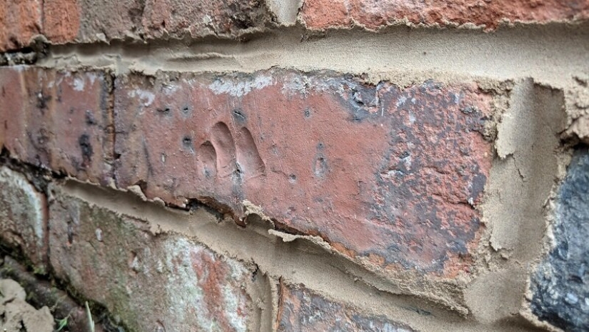 Este increíble mundo! 17 imágenes que te sorprenderán Este increíble mundo! 17 imágenes que te sorprenderán