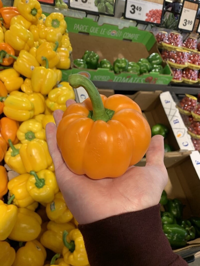 Este increíble mundo! 17 imágenes que te sorprenderán Este increíble mundo! 17 imágenes que te sorprenderán