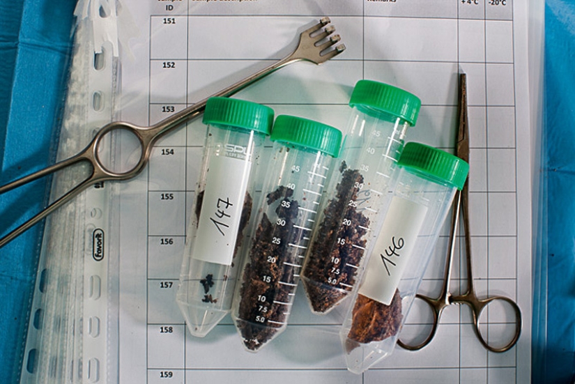 Etzi's "Ice Man" and his story Etzi's "Ice Man" and his story