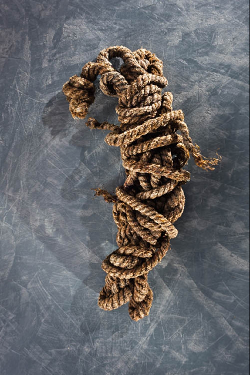 Etzi's "Ice Man" and his story Etzi's "Ice Man" and his story